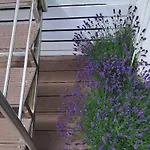 Lavender 14 - Loze Typu Queen, Balkon I Wlasny Taras *