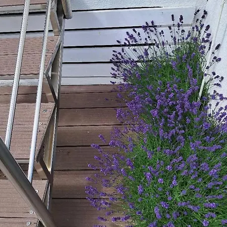 Lavender 14 - Loze Typu Queen, Balkon I Wlasny Taras *