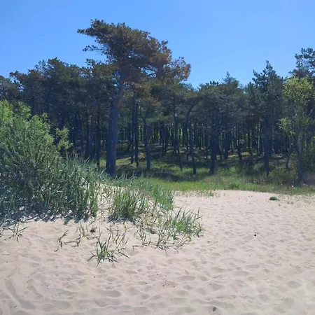 Lavender 14 - Loze Typu Queen, Balkon I Wlasny Taras Lägenhet *