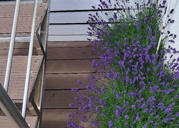 Lavender 14 - Loze Typu Queen, Balkon I Wlasny Taras *