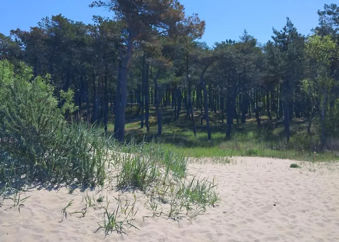 Lavender 14 - Loze Typu Queen, Balkon I Wlasny Taras Lägenhet *